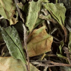 Thé Blanc Paï Mu Tan