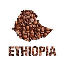 Moka Sidamo Ethiopie